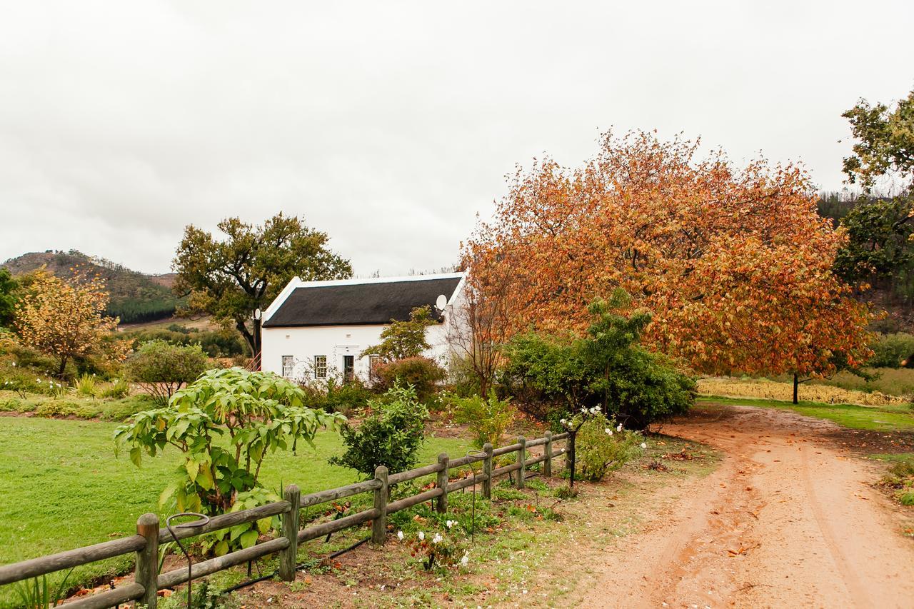 Basse Provence Country House Bed & Breakfast Franschhoek Bagian luar foto