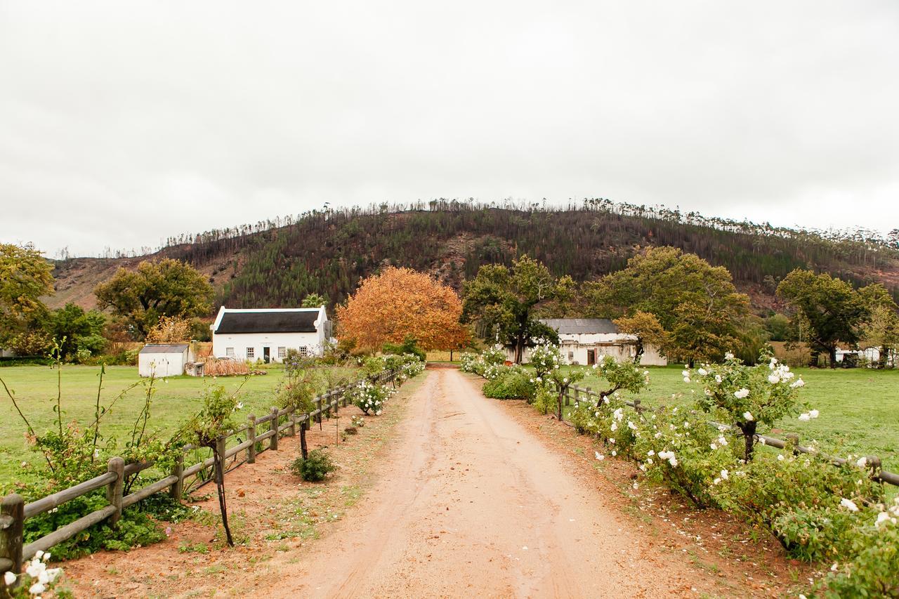 Basse Provence Country House Bed & Breakfast Franschhoek Bagian luar foto